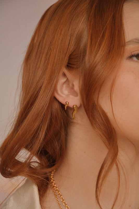 Spicy earrings